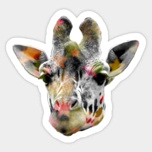 Giraffe Disco Sticker